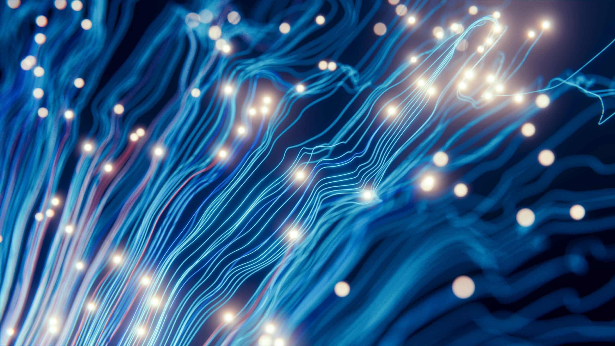 Data investment priorities